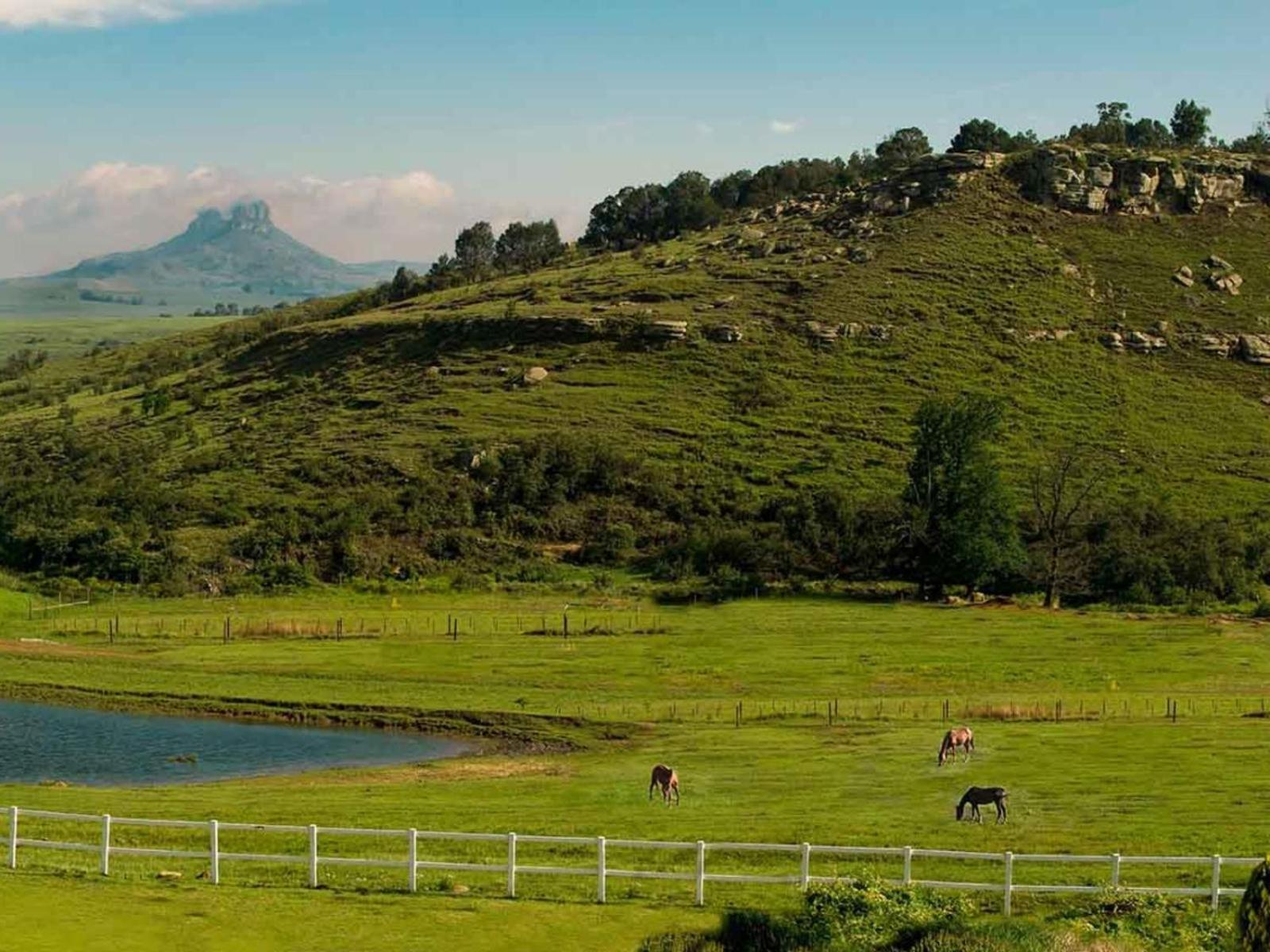 Oaklands Farm Stay Van Reenen Exterior photo