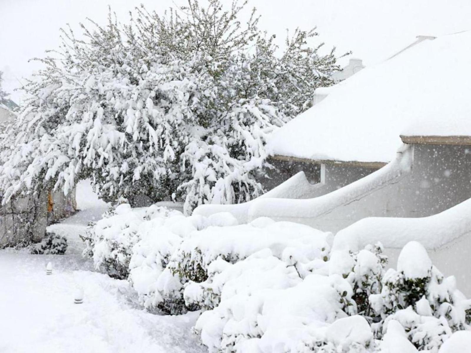 Oaklands Farm Stay Van Reenen Exterior photo