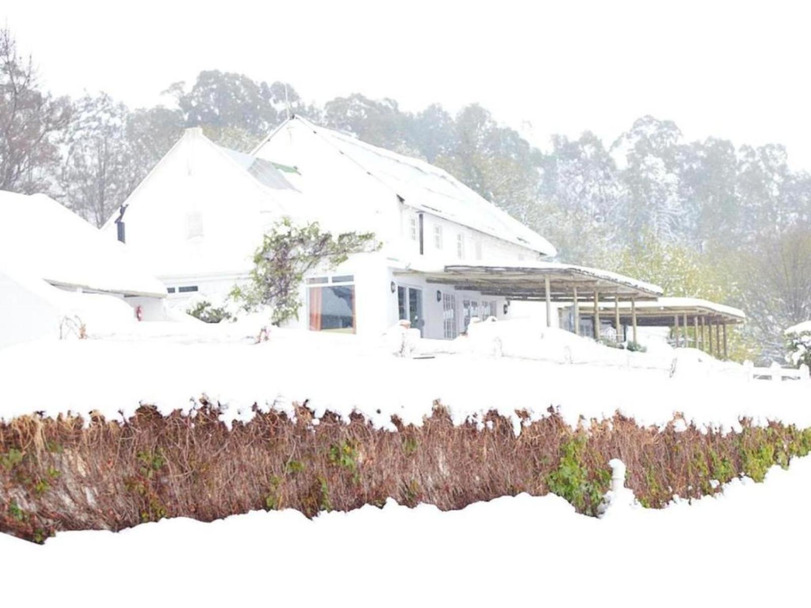 Oaklands Farm Stay Van Reenen Exterior photo